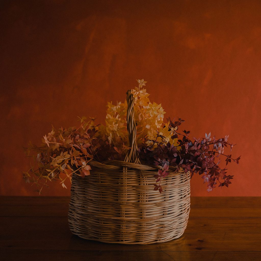 Casinhas de Santo Antonio Exterior 3