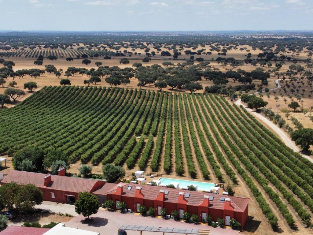 Casinhas Santo Antonio Turismo Rural Alentejo 11