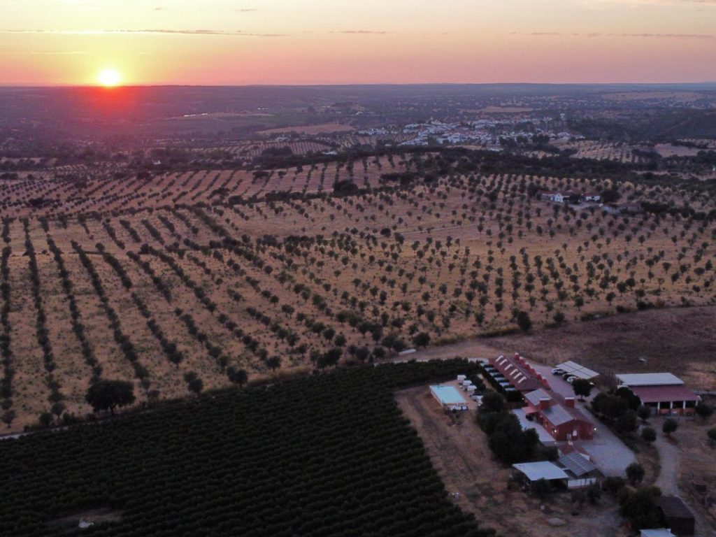 Casinhas Santo Antonio Turismo Rural Alentejo 13